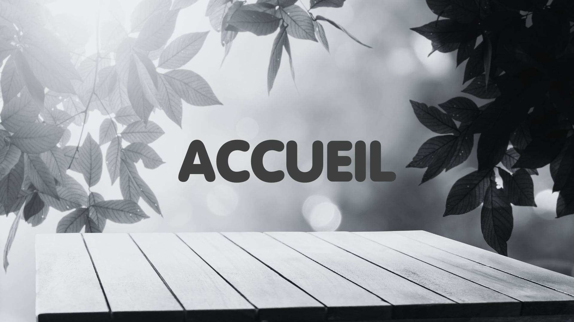 Le mot "Accueil" présenté dans un décor attrayant